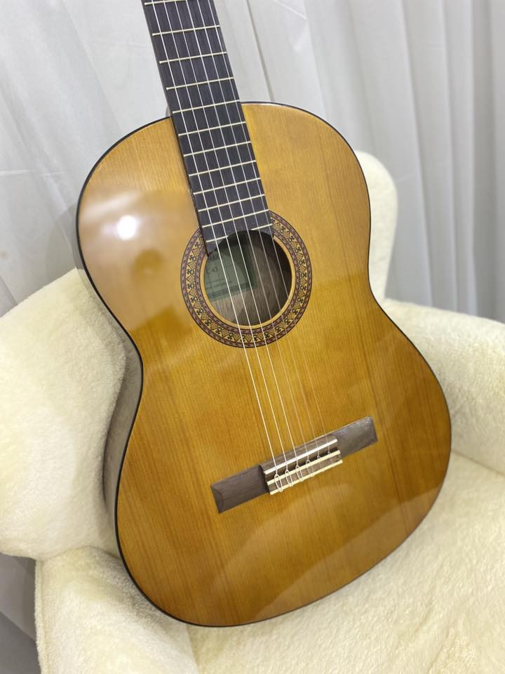 گيتار yamaha c45 الاصلي نظافه 100‎%‎‎% مامستخدم ابداً 
فيديو  يوضح تفاصيله
متوفر الجنطه الخاصه بيه
ومتوفره علبه الكارتون الخاصه بيه 
السعر 130 الف 
متوفر توصيل 
للاستفسار خاص


**إذا كنت صاحب هذا الإعلان وتريد حذفه لأي سبب، رجاءا أرسل رسالة إلى الدعم الفني**