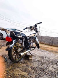 تايكر 19 • ويل 24 • معمر جديد