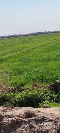 فلاح • مطلوب فلاح • عامل زراعي • عمل زراعي • ارض زراعية • لا حرار دلمج...