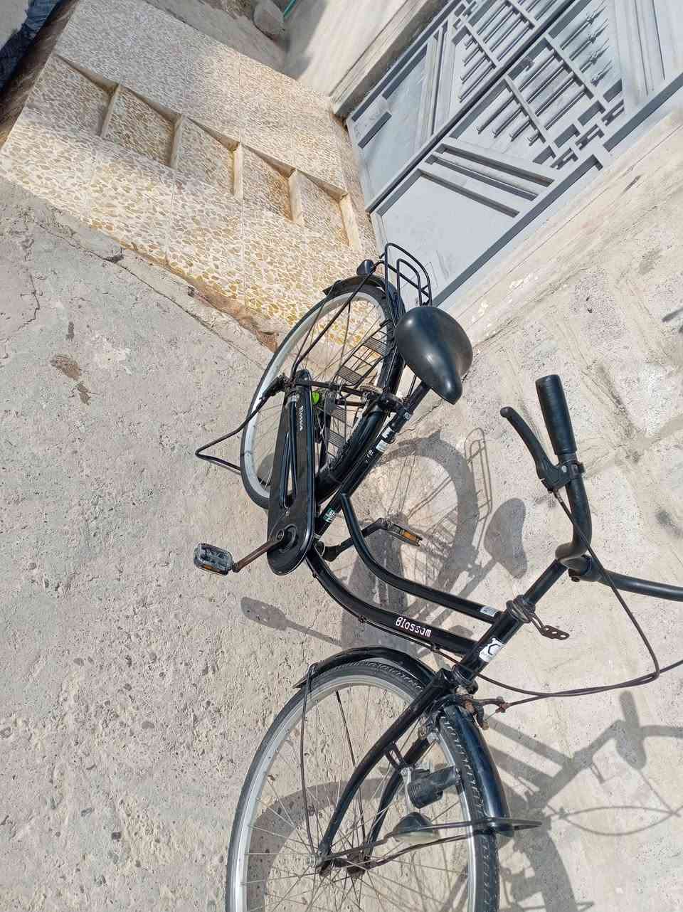 السلام عليكم بايسكل لبيع عبد الحليم جديد السعر 90وبي مجال


**إذا كنت صاحب هذا الإعلان وتريد حذفه لأي سبب، رجاءا أرسل رسالة إلى الدعم الفني**
