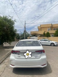 كورلا هايبرد • ٢٠٢٥ • رقم اربيل