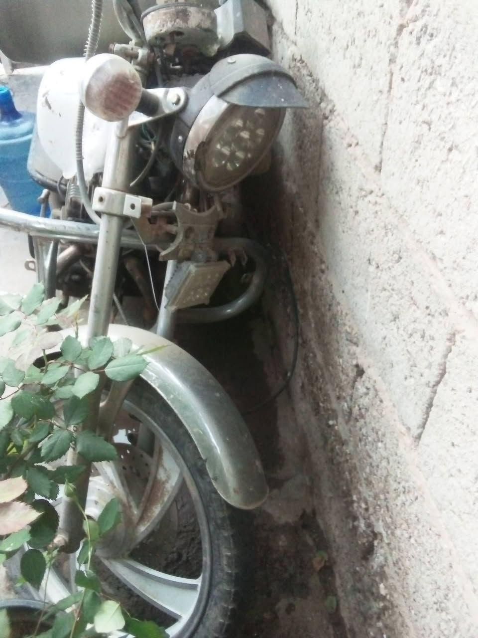 دراجه نوع جني للبيع اوراقه موجوده السعر 250وبيه مجال بسيط***********
