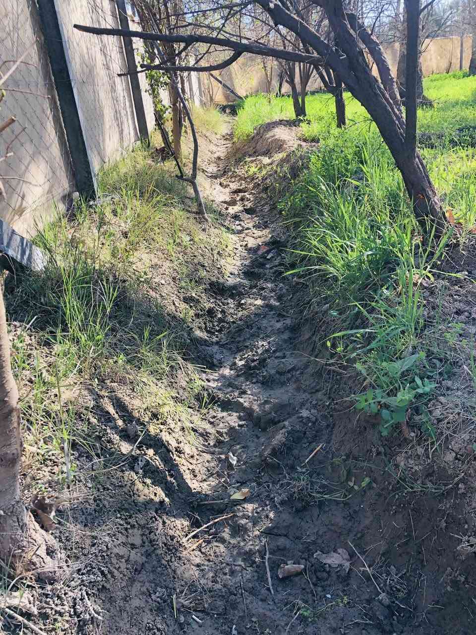 1000 م للبيع تحويل باسمي الموقع طريق زينب الكبرى قرب قنطرة الابراهميه الوجه 35 على فرعي تبعد عن الشارع العام 400 م السعر 125 مليون وبيه مجال 
***********
