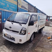 كيا حمل • ٢٠١٤ • نمر بابل