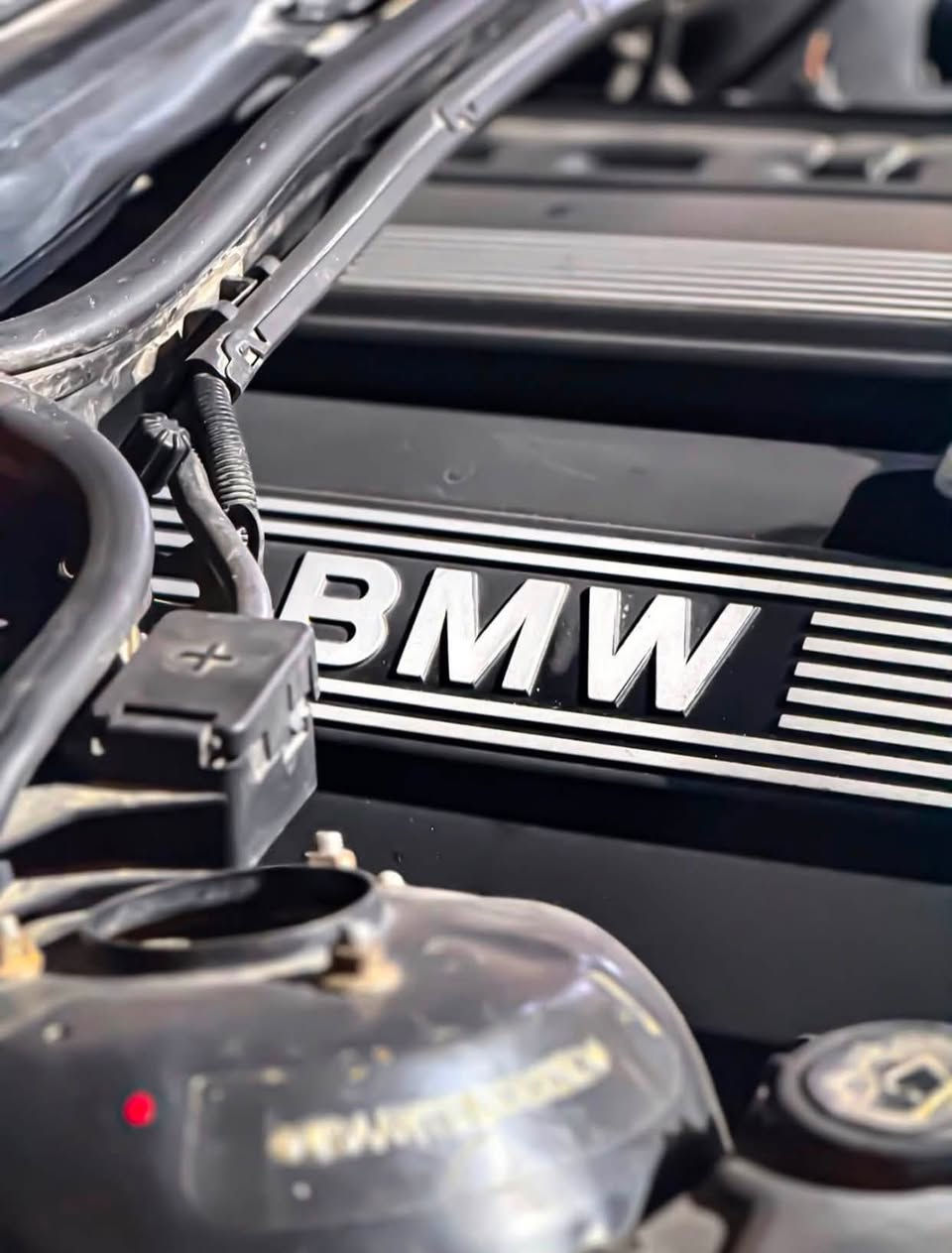 سلام عليكم من رخصة الادمن المحترم….
‎صلوا على الحبيب محمد 😍🖤..

‎من النوادر..🖤

BMW Category((325i)) Double Lantern 🚀.

‎بي أم دبليو 1998 حجم 325 السيارة مكفولة كفالة عاامة من الضربة ومن اي داخل صبغ فقط للجمالية بدووون داخل ولابارد!!!! السيارة بعدهي ع وضع الوكالة كلها بلادية وكل نقص مبيها من ناحية كير مكينة حدادية تبريد ثلج ❄️ تدفئة كلشي جاهز وشغال مواصفات فووول عدا الفتحه فقط....

‎مكينة 6 سلندر ((مسكر دبل فانوس)) 🚀.

‎تحكمات بلتسيرن.

‎كراسي تدفئة+تبريد.

‎كراسي كهرباء+خزن ميموري.

‎جنطة شفط.

‎نضام كنترول لايت تحكم بلكامل.

‎نضام ASC.

‎نضام APS.

‎قطعتين تبريد.

‎سستم صوت متكامل.

‎دبل ايرباك.

‎وبعد بيهاا مواصفات السيارة ماشية (233 الف) فقط وكل عددها وملحقاتها موجوده كلشي ع وضع وكالة بل اضافة عليها طبقة حماية ((نانو سيراميك)) مع الضمان رقم كربلاء دولي تتحول بكافة محافظات العراق سنوية لغاية ((2028)) السعرررر ((80)) وبيهاااا مجااال....😍🖤

‎للأستفسار:***********
