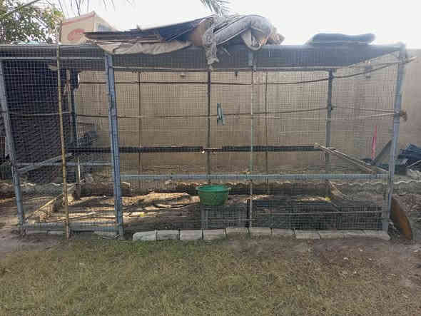 قفص حديد نضيف جداً
طولة :اربعة متر 
ارتفاعه :مترتين 
العرض: 180 سم
السعر: 150 الف
المكان كربلاء طويريج 
للاستفسار الاتصال على الرقم:***********
