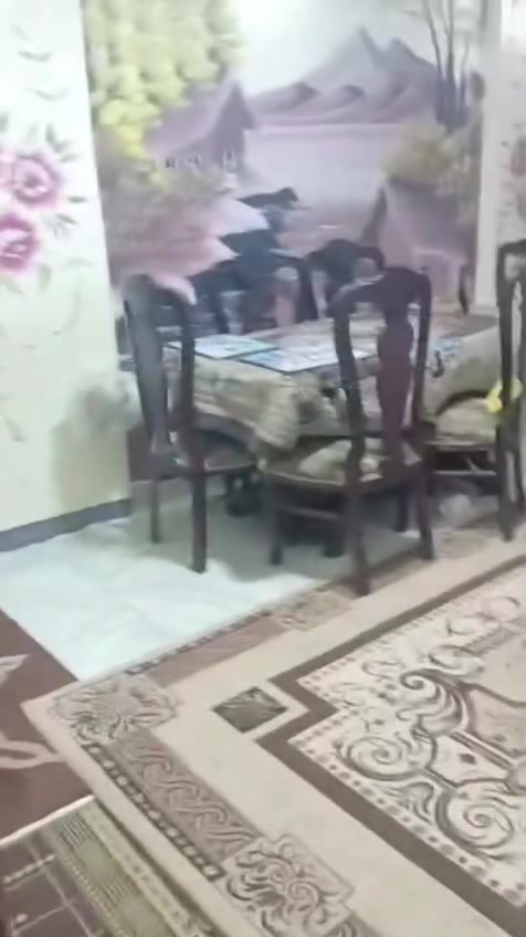 بسم الله ماشاء الله 
شقه للبيع العجمي 
مساحه  ١٠٠ متر
 الدور التاني 
غرفتين وريسبشن قطعتين عريض ومطبخ وحمام
 ٣ عدادات خاصين بالشقه 
تشطيب لوكس 
مدخل ووجهه متشطبين 
الهانوفيل شارع الخلفاء الراشدين 
عند النقل والهندسه تاني نمرة من الاسفلت
للتواصل 01289288039


**إذا كنت صاحب هذا الإعلان وتريد حذفه لأي سبب، رجاءا أرسل رسالة إلى الدعم الفني**