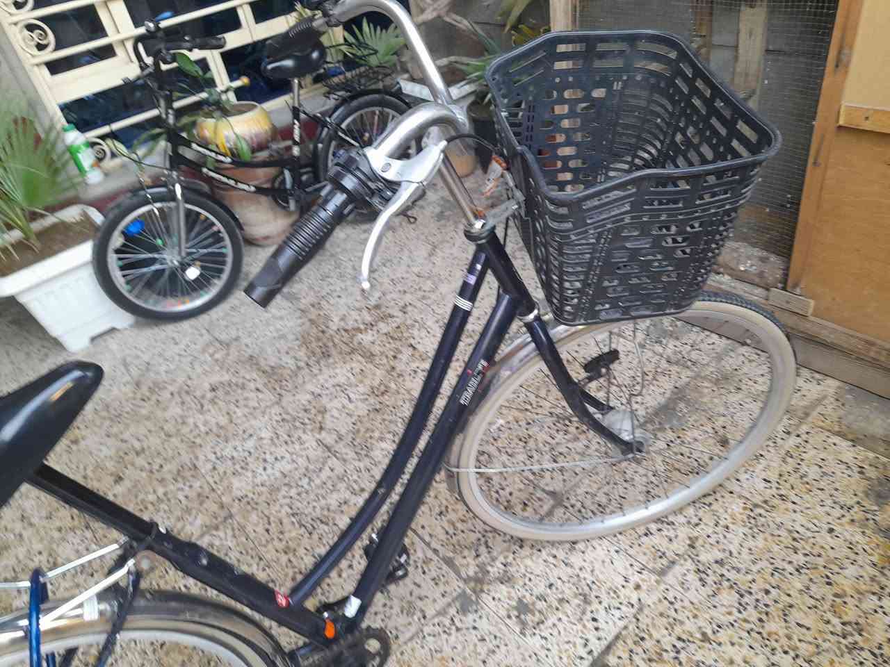 بايسكل بناتي حجم ٢٧ لون نيلي نظيف السعر ٥٥ الف المكان مدينة الصدر


**إذا كنت صاحب هذا الإعلان وتريد حذفه لأي سبب، رجاءا أرسل رسالة إلى الدعم الفني**