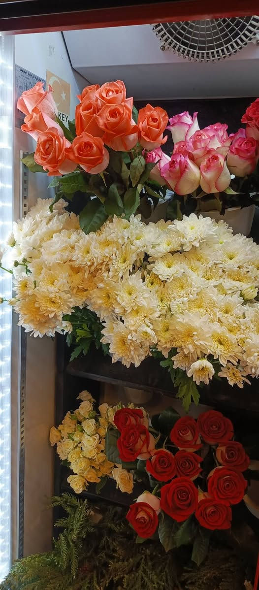 السلام عليكم من رخصة مدير الكروب زهور البنفسج تقدم لكم أفظل انواع الورد بكادر متخصص لتلبيه طلباتكم بأجمل الباقات وألهدايا ماعليكم بس تطلبون والباقي علينه للحجز والاستفسار مراسله الصفحه او الاتصال على الأرقام التاليه ***********او*********** العنوان شارع المغرب مقابل الجوازات مجاور مجمع البندول
