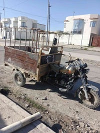 ستوتة • القيارة • سعر خاص