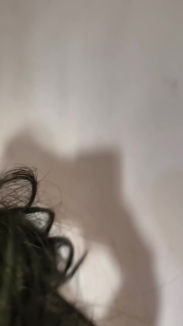 طوق شعر ظفيره+ قراصة شعر لاستيك ب5


**إذا كنت صاحب هذا الإعلان وتريد حذفه لأي سبب، رجاءا أرسل رسالة إلى الدعم الفني**