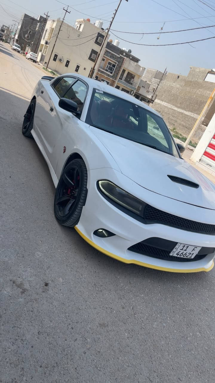 يالله جاجر Rt 2019 اصل رقم بغداد هزة جديدة ماشية 86 الف اخوان سيارة كلين طابة وهنا بالعراق انطغ بنيد 3 اصابع ونصبغ شوية منة مو كلة بدون ايرباك ولا شاصي ولا لغد صور امريكا بالمنشور وصور طخة هم بالصور قبل لا اسويهة سيارة جديدة بالجيس شرط زيرو من كلشي سيارة ستوك شركة لا ملعوب بصالنصات ولا ملعوب بحجرات السعر 217 ورقة مكانهة بغداد للأتصال اخوان لحد ايطبلي خاص مكلف بالنشر وهاذة رقم ولد ***********
