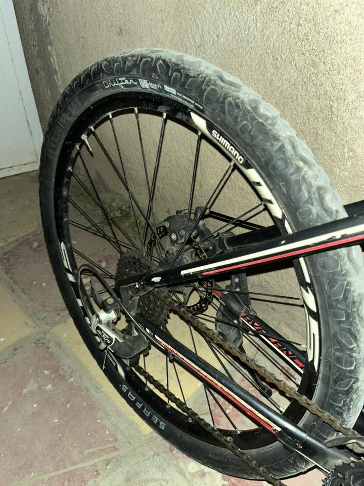 جبلي GT بلادي ختم كامل ممبدل شي قياس 26 s ما بيها نقص كامله كلشي مبين يمك ب صوره سستم كلشي واضح السعر 300بيها مجال لشراي تريد تتعامل تفضل خاص نطيني سعرك


**إذا كنت صاحب هذا الإعلان وتريد حذفه لأي سبب، رجاءا أرسل رسالة إلى الدعم الفني**