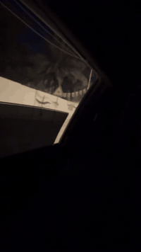 سلام عليكم دوج جالنجر 2020 RT 5700 للبيع حادثها موضح بالصور ماشيه 72 الف ميل سياره كامله واي نقص مابيها تايرات خلفيه 315 اماميه 275 برمجة البطل مصطفى ايكل ببكورن وطلقات دبات سود صوتها رعب رقم اربيل باسمي تحويل او وكاله الي يعجبك للبيع او مراوس حسب القناعه السعر 178 وبيها مجال مكاني حلة 
***********
