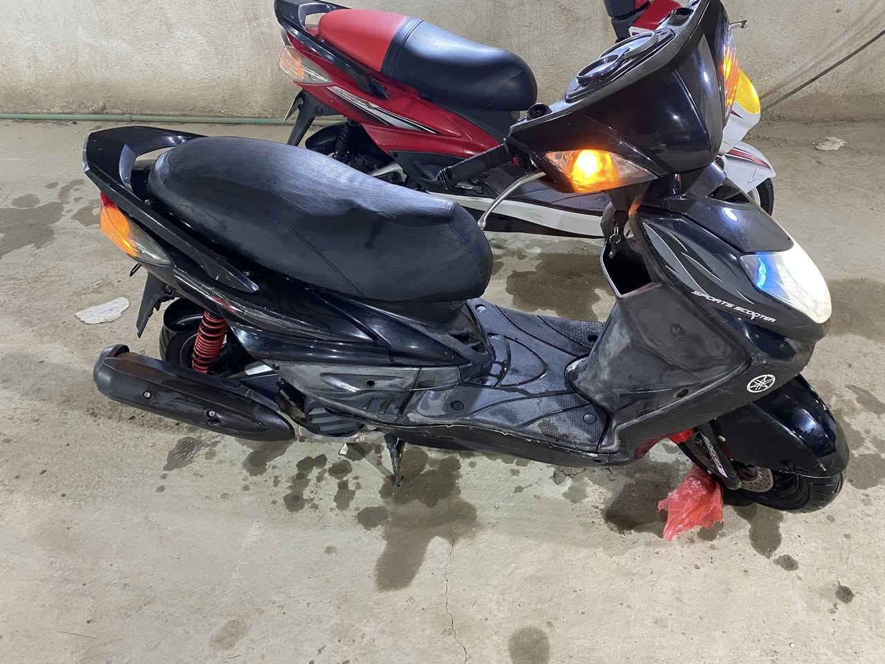 سكنس فحل البيع السعر ٧٥٠
***********
