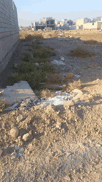 ديالى • ٢٠٠م • طابو سند ٢٥