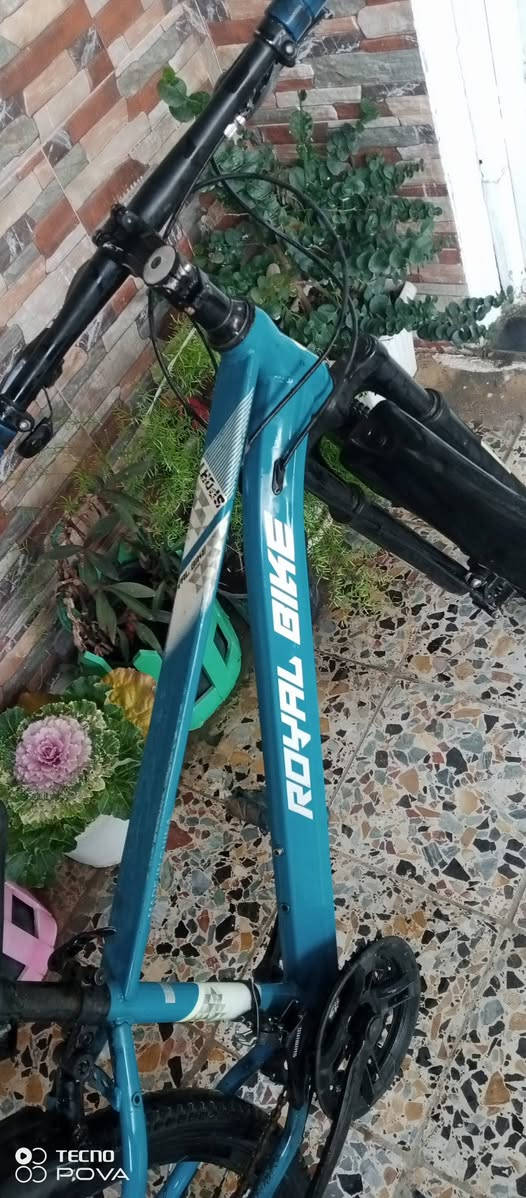 السلام عليكم بايسكل ياباني للبيع السعر 65 وبي مجال بغداد الحسينيه الراشدي قرب كهوه بيت ورد جريخي ***********مابي واتساب اتصل او خاص
