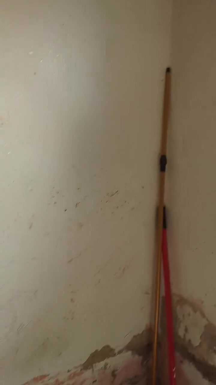 صباغ عام / انواع الاصباغ / شبابيك بيبان  / ترميم البيت / حته لو تعبان ارجعه الك مثل مجان بسعار مناسبه وتساب*********** او خاص.
