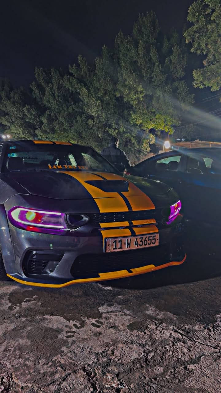 -السلام عليكم ورحمه الله وبركاته - جارجر للبيع موديل 2019  RT -5700
- سيارة ملغمة تلغم اقوى سياره راح شوفة
- نبلش بداخل السيارة ( عليه سقف روز رايز 720 نجمه متحرك اي لون تكدر تختارة ) ( عليه دركه RPM الاصليه لون الاحمر مطلية بلون وردي ) ( دشبول عليه طلاء كامل حتى من يم باب عليه طلاء ) ( نشره داخلية بكل سيارة اي لون تختارة ) ( كشنات نحله اصليات جايات من امريكة) ( حتى كامرات شاد اله داخليه خارجيه بيه GPS نظام مايكروفون تحجي بي ) 
- هسه نبلش شنو الإضافات عليه سيارة بل محرك
- سياره نوع فئة RT MAX 5.7
علية شوتة نوعية الأصلية AFE شوتة صوته موضوع ثاني 
- عليه هدرز علية جهاز بك فاير الأصلي 
- دبات كورسا اصليات مع ختم مع نظام بوابات كتم 100/100 
- بيه اربع قطع سيارة . 
- صالنصات دوام بايب اكس بايب هوائيات SLP 
- عليه برمجه القوي ضرغام كراج MJR اقوى سيارة ممكن شوفه تسمع صوته و قوته و رزانته
- سيارة مبولشه بل جديد شخط ما بيه احلى من صور بالف مرة 
سعرة 200 بيه مجال 
- سيارة هزته جديد رقم جديد كذالك 
- للتواصل عبر الاتصال او واتساب 
***********
مكاني بغداد - شارع فلسطين او زعفرانية اثنينهم متواجد بيهم
