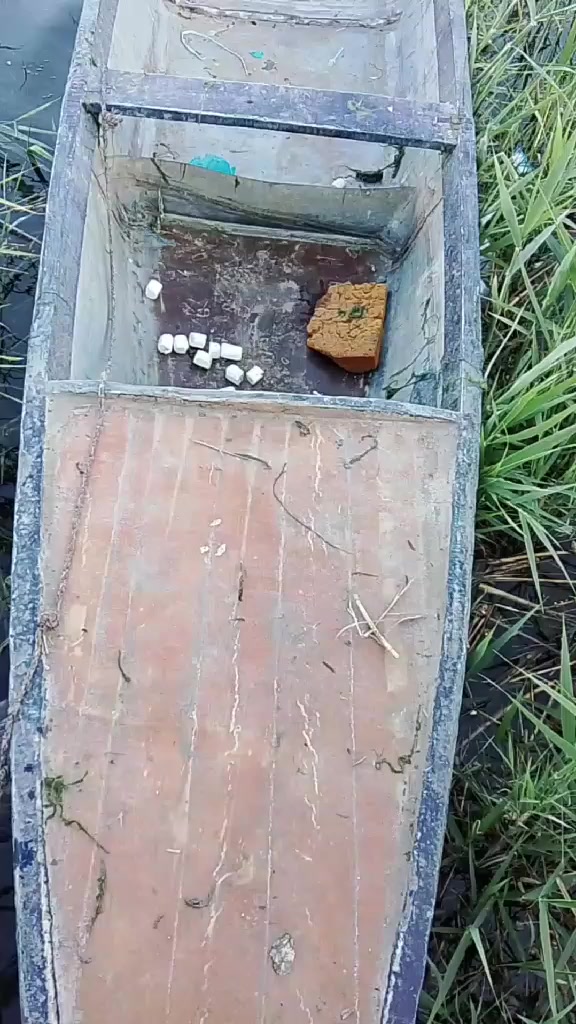 بلم جينكو للبيع رقم ***********اليريد يتواصل علا هاءه الرقم
