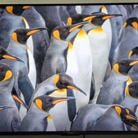 ٤٣ بوصة • 4K QLED • جديد