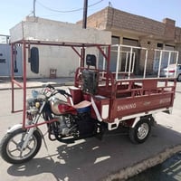 ستوته • نضيف • اوراق كامل