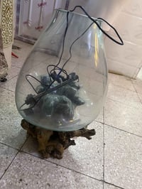 حوض سمك جديد • كامل • وياه ماطور