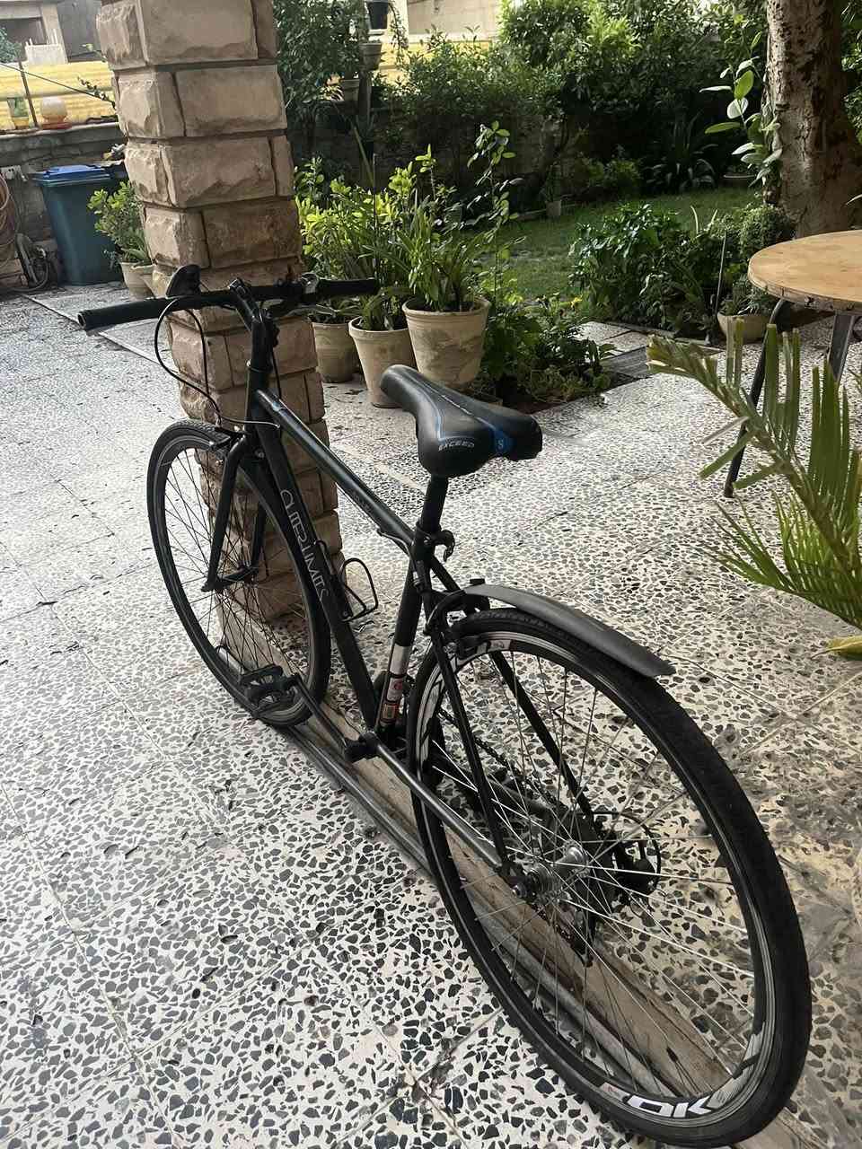 C700 للبيع 🔥
ماركة :outer limits ✅
كير ست نمر خلفية ✅
كشن رياضي جديد ✅
واقيات مطر ✅
حاملة مطارة✅
بريكات امامي وخلفي شغالة ومرتبة على حسب الاصول ✅
لايت وجرس عالشحن جدد✅
البايسكل كامل مكمل ومتعوب عليه 
السعر : 125,000 دينار 
بغداد الغدير 
للتواصل خاص


**إذا كنت صاحب هذا الإعلان وتريد حذفه لأي سبب، رجاءا أرسل رسالة إلى الدعم الفني**