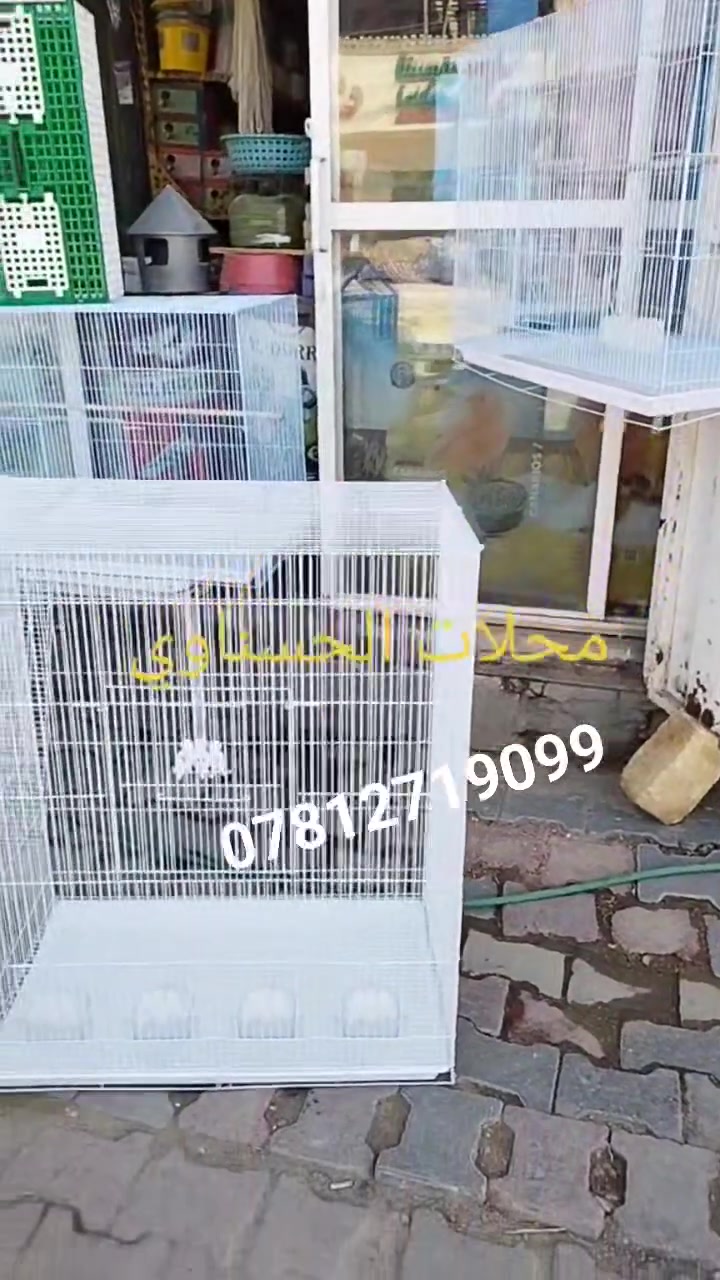 محلات الحسناوي لملتزمات طيور الزينه ديوانيه حي العسكري شارع الوگفه قرب صيدلية البدويه او مقابل الوارث هايبر واتساب ☎️*********** @الجميع

