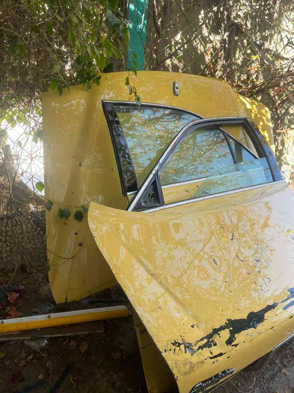 سلام عليكم عندي ذني للبيع قيم وخذهن باليرضي الله


**إذا كنت صاحب هذا الإعلان وتريد حذفه لأي سبب، رجاءا أرسل رسالة إلى الدعم الفني**