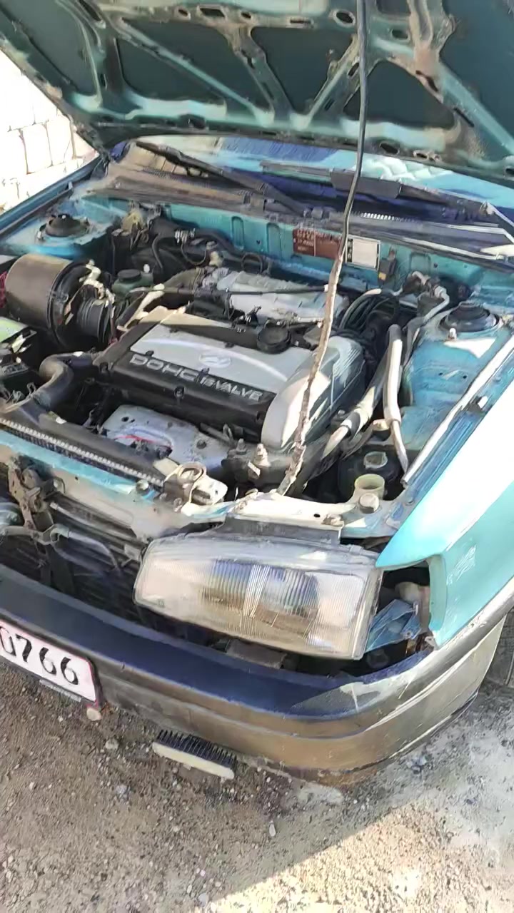 للبيع النترا هونداي موديل 92 تدفئة و تبريد شغالة السعر 29


**إذا كنت صاحب هذا الإعلان وتريد حذفه لأي سبب، رجاءا أرسل رسالة إلى الدعم الفني**