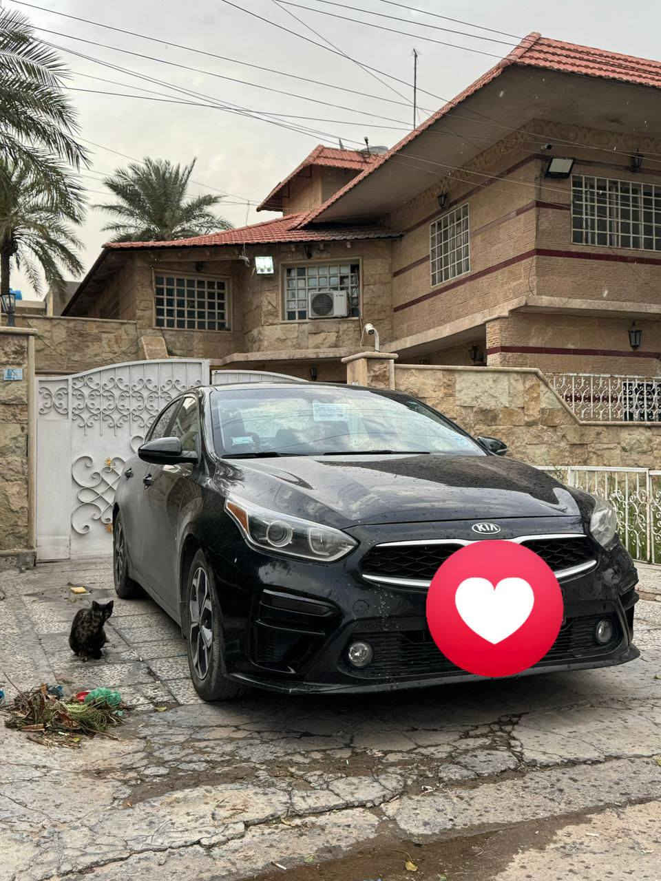 فورتي 21 امريكي ماشيه 123 الف كيلو  بيها قطعتين بدون دواخل جاملغ يسره وباب صبغ محرك 2000 دوش كير سفيتي محرك وكير على الشركه تحكمات ستيرن تدفئه كشنات واستيرن رادار امامي وجانبي اشاير بالمري ويل كب 16 كروم مكاني بغداد حي الجهاد رقم الهاتف *********** رقم اربيل. تحويل مباشر
