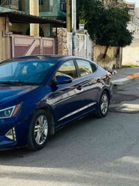 قطعتين صبغ • ٢٠١٩ • رقم اربيل