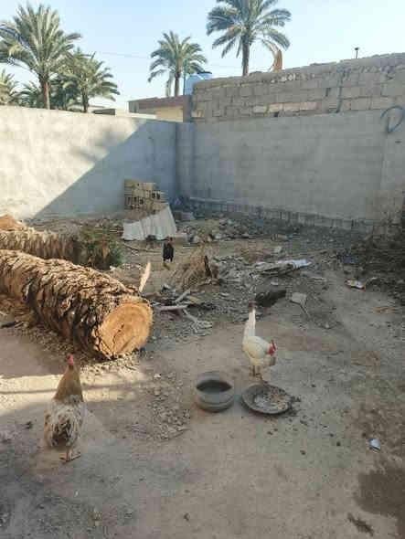 السلام وعليكم
دار للبيع خلف اسواق سبلاش مساحته 300 متر
تبليط ومجاري يتكون الدار من غرفه واستقبال وصاله 7/4
مطبخ حار وحمام 
البيت عكاده بس الصاله سندويج
سعره 65 للأستفسار
***********
