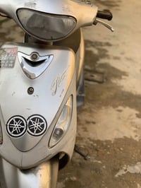 ماكس منغولي • ترتيبات بسيطة • حلة بابل