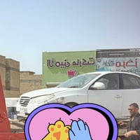 النترا صابونه • ٢٠١١ • لوحات أربيل