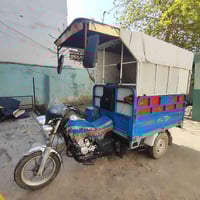 محجلات وقمريات للبيع  اتصل عل رقم 07515495075☎️