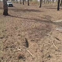 المدائن • دونم • طابو صرف