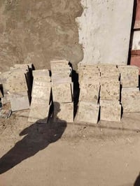 كاشي • كوفة حي ١٧ تموز