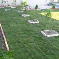 ديكورات حدائق • زراعة زهور • ثيل