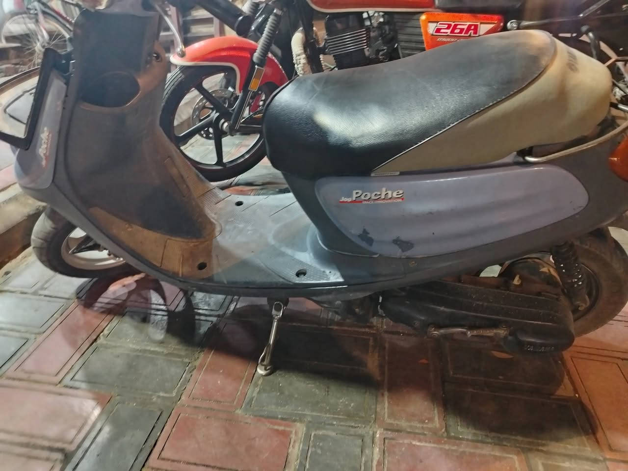 للبيع منغولي كله شغاله بلاديه *********** كربلاء حي المعلمين قرب مرطبات فستقه
