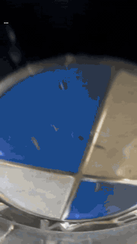 المندلاوي لسمكرة وصبغ جميع السيارات الحديثة مع بوليش وتكحيل كارت للأوان الصدفية وال ميتاليك والحراري  وعناية بل سيارات 
العنوان البياع :حي الصناعي شارع ال رابع 
للاستفسار ***********

ملاحضة:الشغل مع ضمان🔥🔥
