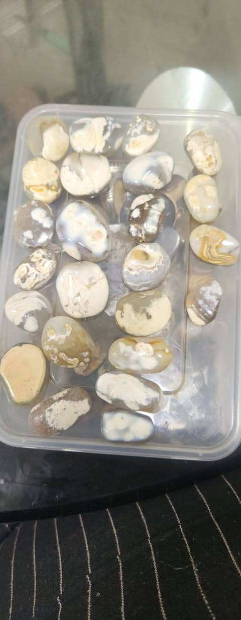 السلام عليكم للبيع القطع على 5وذ شلع على 3 العنوان بغداد لاعضمية ***********
