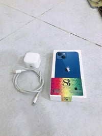 13 عادي أمريكي  مكفول  سعر 450 قفل 07863568128