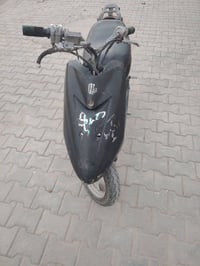 عصفورية • دراجة • الشعب