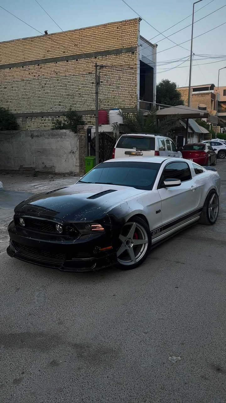 موستنك gt 2013 بريميوم فول
عليهه هدرز لونك امريكان ريسنك
وعليهه شوته AIRAID
حشوه المكينه مزوده
عليهه برمجه
السياره فول هوائيات 
السياره شتريتهه حزام بس هيه مو 
حزام بيهه قطع
غرفتهه جلد جديده كلش
تخم تاير جديد بلجيس
وياله فويسن 20
صدر امامي خلفي جديد
تبريد ثلج 
رقم بغداد الجديد
هزه وسنويه جديدات 
هزه بعد 9 اشهر يله تسقط والسنويه 2032
سعرهه 120
مكان السياره بغداد اليرموك ***********
