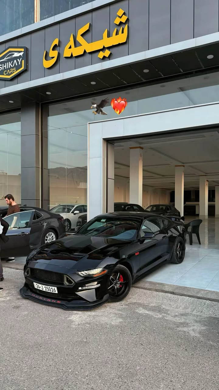 Mustang 2020 
بونيد صبغ جاملغ + باب جهة النفر تبديل شركه بدون صبغ وبدون دواخل بدون ايرباك ماشيه 77 مايل 
كير مكينه بشرط بدون فتح وبدون نفخ 
سياره على ايدي ومعروفه السياره بنضافتها وجمالها 
عليها شوته روش 
عدادات ديجتال 
كوشنات خزن ميموري 
تحكمات ستيرن 
مودات سياقه 
نقطه عميه بالمري 
دمام خلفي داخل الصندوق 
بك لايت سموك 
مسطرة HURST بالعراق كلها مموجوده 
سبايدر خلفي سياره مواصفات خاصه من امريكا مملعوب بيها نهائياً 
سياره كلها بلادية بدون اي نقص 
سعرها 185$ بيها مجال بسيط 500$ غرامات 
*********** 
الشراي يتصل ويتدلل دهوك, العراق
