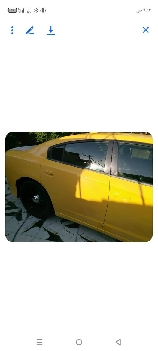 تفاصيل بل صوره
