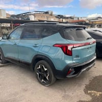 سيلتوس فول • ٢٠٢٥ • لأصحاب كتب الشهداء