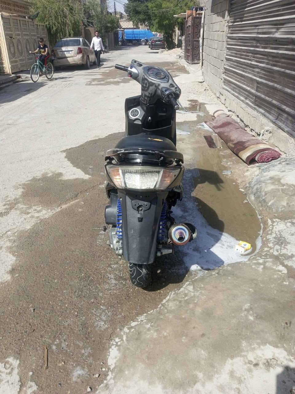 سكنس فحل للبيع بوشة 58سعر550
***********
